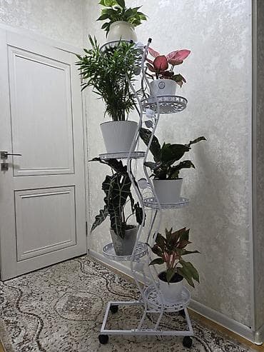 Мебель: Полка, этажерка для цветов, Новый, Железо, Самовывоз — 6