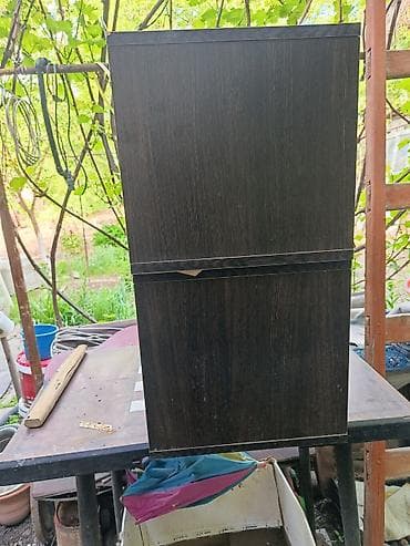 Кемирүүчүлөр: Полочки — 2