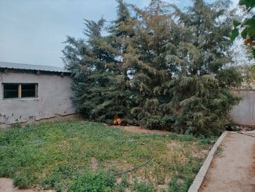 рабочий дом: Дача, 150 кв. м, 6 бөлмө, Менчик ээси, Эски ремонт — 9