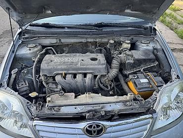 motor fit 2004: Toyota Corolla: 2005 г., 1.6 л, Автомат, Бензин, Седан — 8