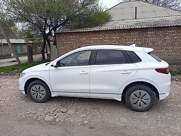 обслуживаемая база: BYD E2: 2025 г. — 1