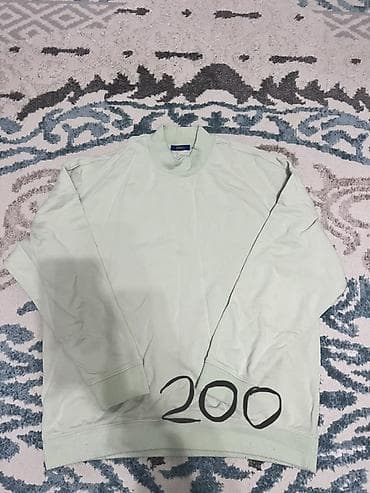 Мужская одежда: Свитшоты и худи — набор из 4 моделей. 1) Светло‑мятный свитшот без — 1