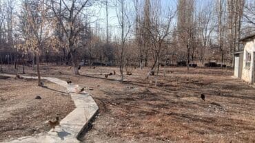 передвижной дом: Дом, 15 м², 7 комнат, Собственник, Старый ремонт — 7