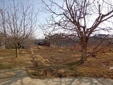 частные дома: 6 соток — 8