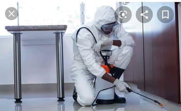 уничтожение клоп блох: Дезинфекция!!!любой сложности (*❛‿❛)→Приемлемая цена (*❛‿❛)→Качество — 8