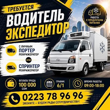Вакансии: Требуется Водитель-экспедитор, С личным транспортом, Премии, Полный рабочий день — 1