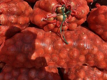 шкафчик для книг: Лук — 2