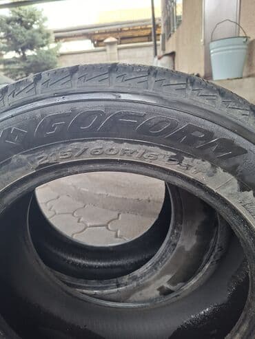 диск для похудения цена: 215.60.R16 пара зимней резины Гоформ, состояние среднее, остаток — 5
