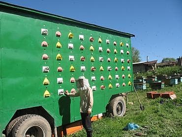 коробка сатылат: Чиркегич, Special trailer — 1