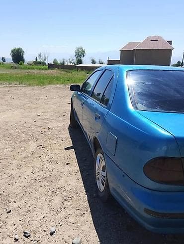 daf 2018: Nissan Almera: 1996 г., 1.4 л, Механика, Бензин, Седан — 5
