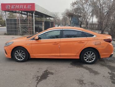 домкрат соната: Hyundai Sonata: 2019 г., 2 л, Автомат, Газ, Седан — 9