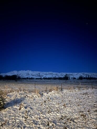 all group: Сдается А‑frame домик в сутки. Имеется все необходимое для кухни а — 7
