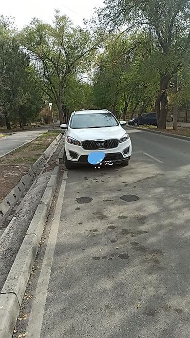 Kia Sorento: 2018 г., 2.4 л, Автомат, Бензин, Кроссовер