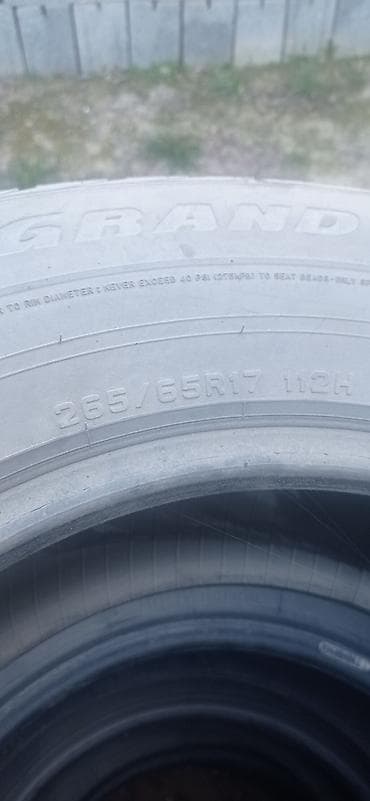 65: Шины 265 / 65 / R 17, Лето, Комплект, Внедорожные (АТ/МТ), Dunlop — 3