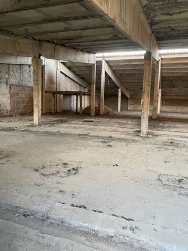 продаю дом село орок: 100 соток, Красная книга — 7