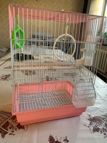 акустические системы havit колонка в виде собак: Клетка для мелких птиц - Материал: металлические прутья с порошковым — 3