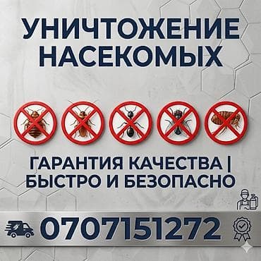 mac safe: Дезинфекция, дезинсекция, | Блохи, Вирусы, микробы, Клопы, | Транспорт, Дома, Кафе, магазины — 1