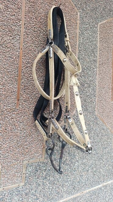 Животные: Жугон — 1