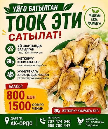 Продукты питания: Домашние куры (цельные тушки) - Натуральное, чистое куриное мясо — 1