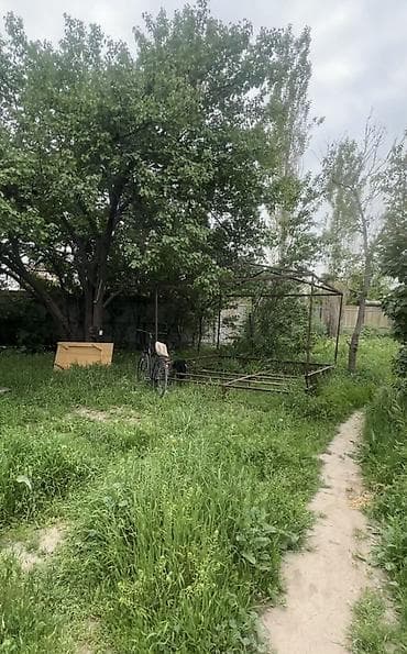 мед алимин: 8 соток — 5