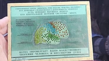 мозг: Советские наглядные агитационные диапозитивы/слайды серии «Разум — 2