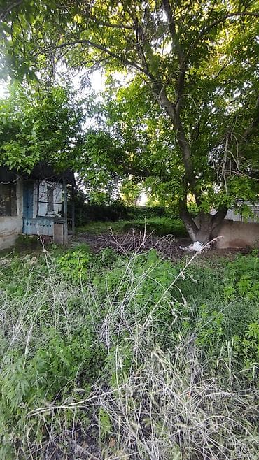 продаю дом нижняя аларча: Имеется, вода, электричество, канализация возможно подключение, газ — 4