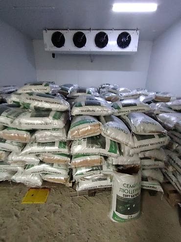 семена клевера: Семена кормовых растений: Люцерна, Самовывоз — 9