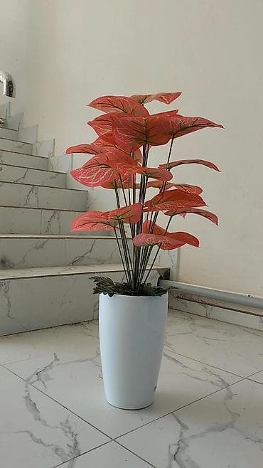 уголь с доставкой бишкек: Искусственные цветочные композиции в кашпо - Большие напольные — 7