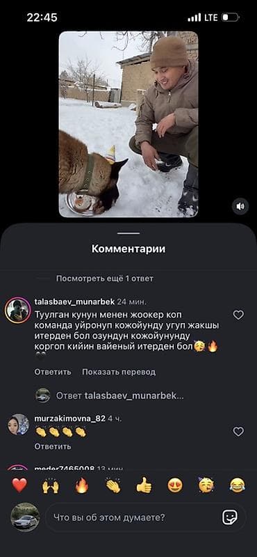 салон хонда: Honda Accord: 2002 г., Автомат, Бензин, Седан — 3