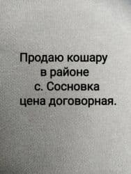 продаю дом с беловодск: Продаётся кошара (загон для скота) в районе с. Сосновка. - — 1