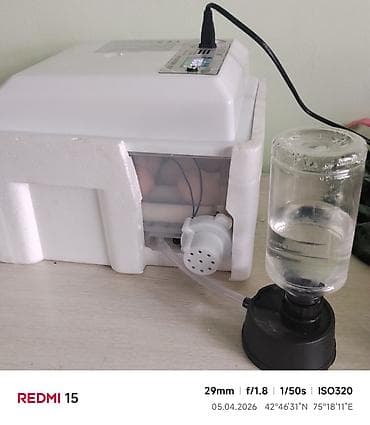 инкуб: Инкубатор для яиц с автоматикой - Модель: Egg Incubator (панель — 1
