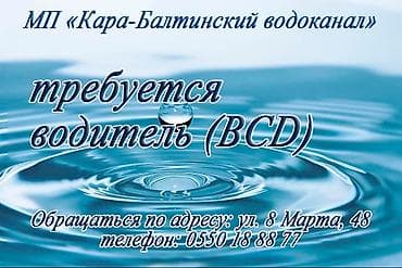 авто електирик: Требуется водитель с категориями BCD — 1