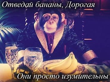 квартира комнатная: 5 и более комнат, 500 м² — 7