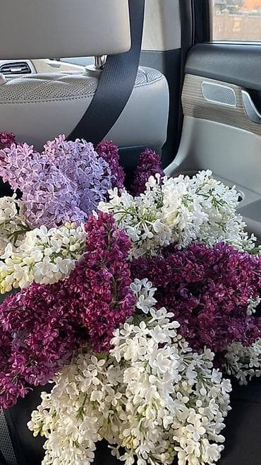 лелинское: Сниму дом, без хозяина на долгий срок. Район Кудайбергена — 1