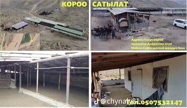 Майлуу -Сайга жакын жайгашкан кашар сатылат. бетон.темир. кирпич менен — 4