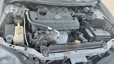 продаю нисан марч: Nissan Primera: 2002 г., 2 л, Механика, Бензин, Седан — 2