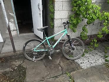 forward: Горный велосипед, Forward, Сталь — 1