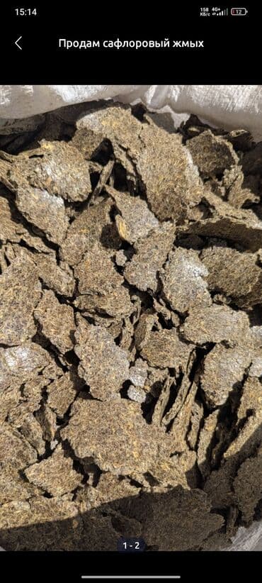 купить уголь в бишкеке цена: Куплю софлёровый жмых срочно 500/600 кг — 1