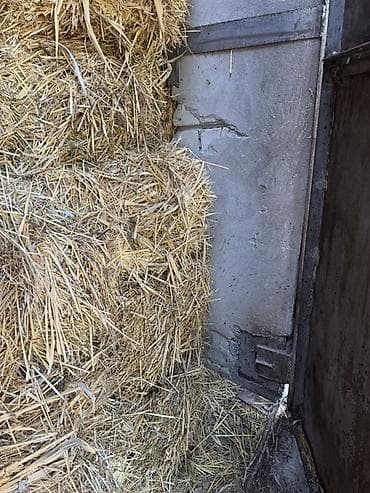 птицы бишкек: Солома в тюках - Тип: натуральная солома (пшеничная), спрессованная в — 3