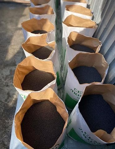 картошка семенная цена: Семена кормовых растений: Люцерна — 3