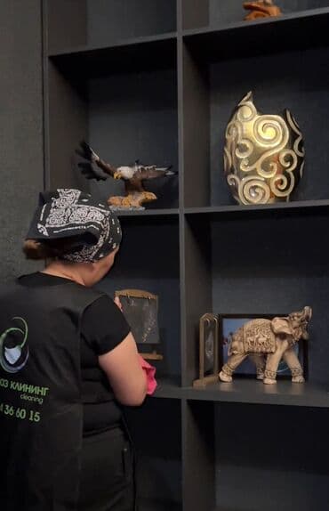 установка посудомоечной машины бишкек: Уборка помещений, | Уборка после ремонта, Генеральная уборка, | Офисы, Квартиры, Дома — 1