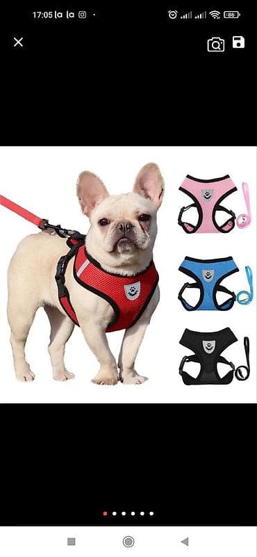 цеп для собаки: Широкие шлейки с поводком для собак и кошек. Качество отличное — 8