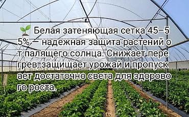 Дом и сад: Защитные сетки от птиц, Самовывоз, Бесплатная доставка, Платная доставка — 1