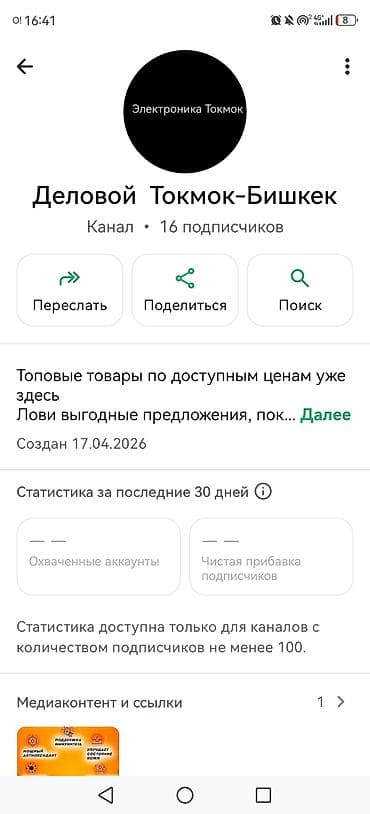 g vill: Канал «Деловой Токмок–Бишкек» (раздел «Электроника Токмок») — подборка — 1