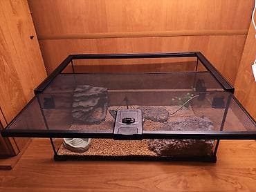 террариум: Террариум для гекконов, сцинков и других ящериц, полностью — 2