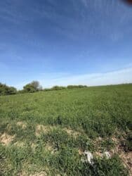 сдаю дом в районе дордой: 800 соток, Для сельского хозяйства, Договор дарения — 5