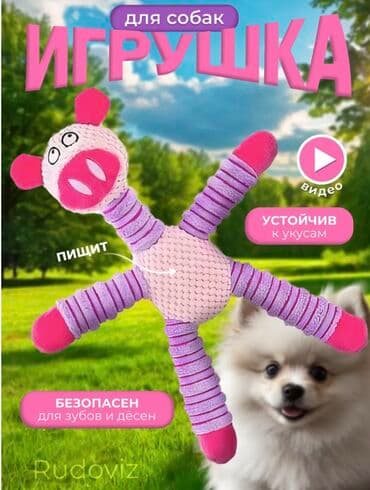 Игрушки для собак, (доставка в течение 2 недель), на заказ - 500 сом