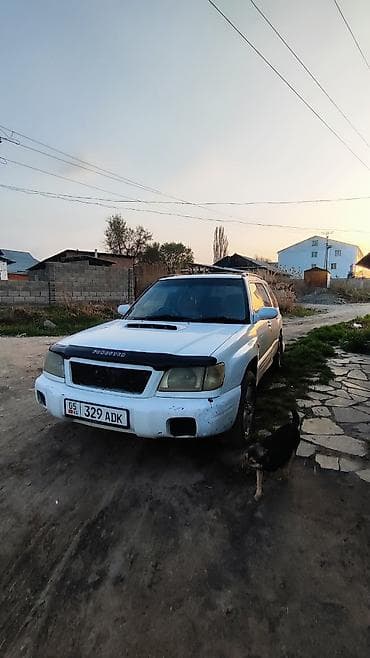 даф сф: Subaru Forester: 2000 г., Автомат, Кроссовер — 4