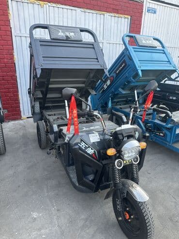 кофры для мотоцикла: Легкий грузовик — 7