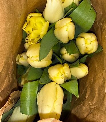 цветы ромашка: Пышный букет тюльпанов с махровыми лепестками. Оттенок — нежно‑розовый — 9